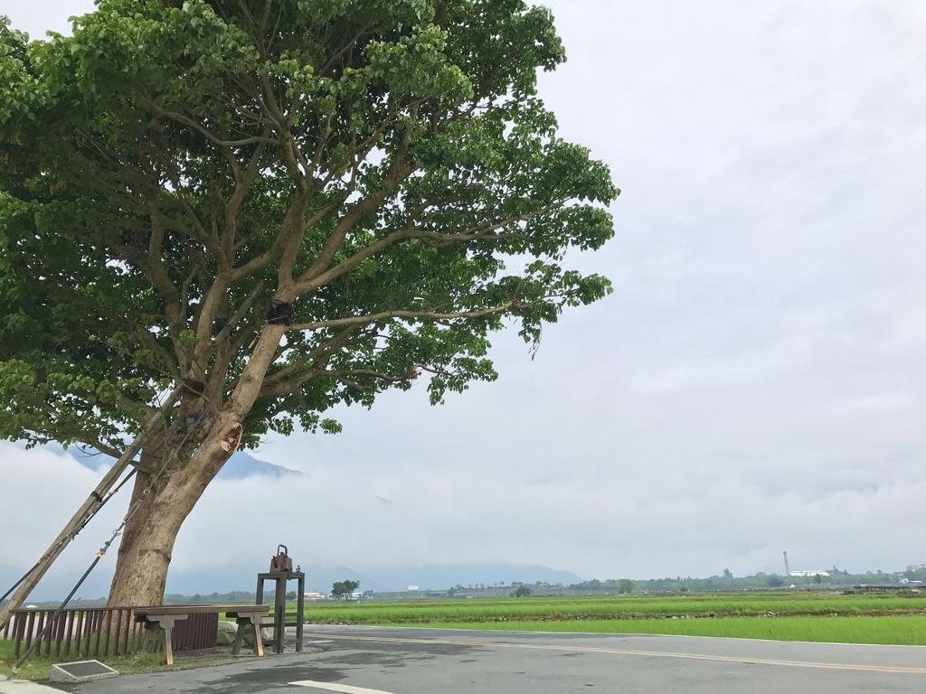 玉蟾園民宿 寵物友善 Yuchanyuan B&B Chishang Buitenkant foto