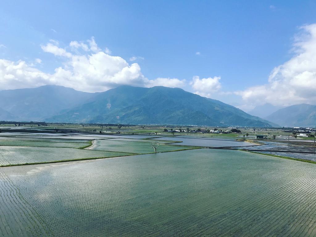玉蟾園民宿 寵物友善 Yuchanyuan B&B Chishang Buitenkant foto