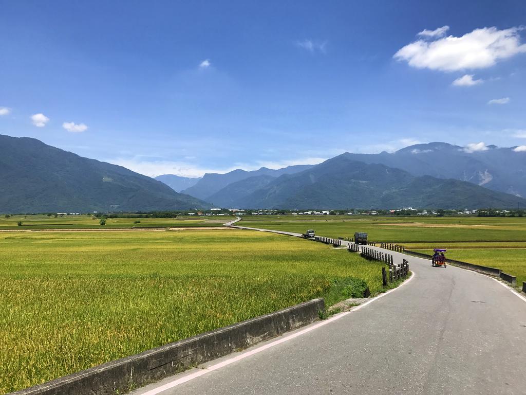 玉蟾園民宿 寵物友善 Yuchanyuan B&B Chishang Buitenkant foto